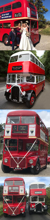 Vintage Buses Collection